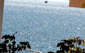 Blue Eye Saranda